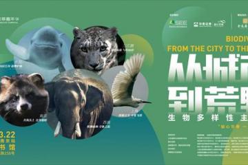 华泰证券联合主办的“从城市到荒野”生物多样性主题展在南京开幕