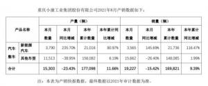 与其旗下的造车新势力金康赛利斯品牌有着密不可分的关系